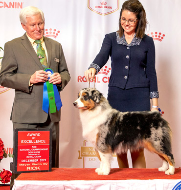 Mysti earned an Award of Excellence at the AKC National Championship