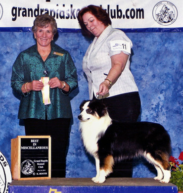 Desi Wins Best in Show at Grand Rapids Kennel Club