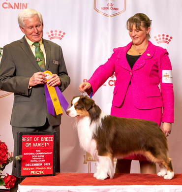 Epic won Best of Breed at the AKC National Championship in December 2021