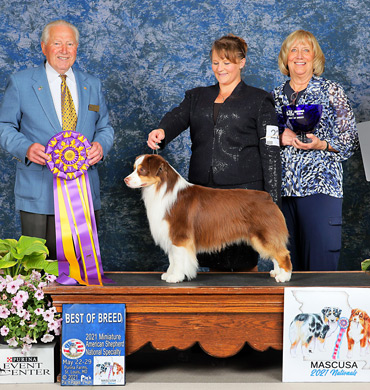 Epic wins Best of Breed at MASCUSA National Specialty