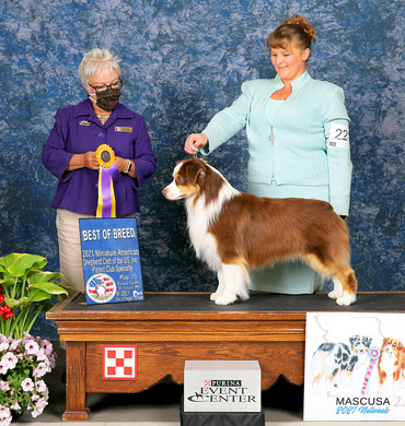 Epic wins Best of Breed at the Parent Club Specialty show