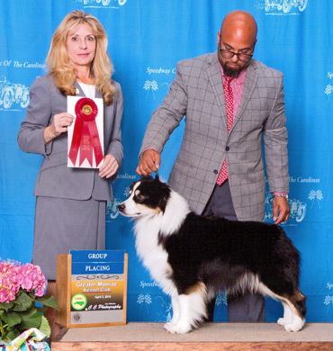 Remi earns Group 2 at Greater Monroe Kennel Club