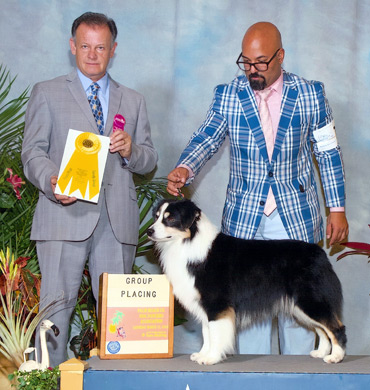 Remi earns Group 3 at Palm Beach Kennel Club