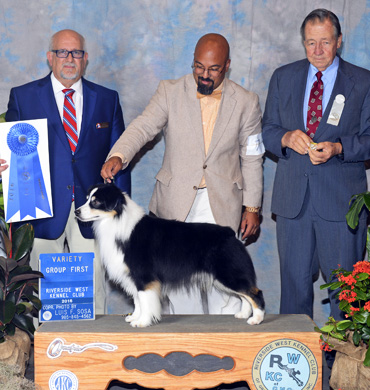 Remi earns Group First at Riverside West Kennel Club