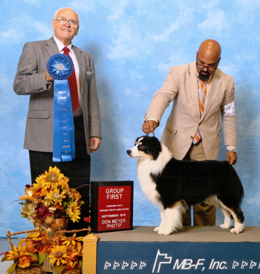 Remi wins Group One the Sunshine State Herding Group Association