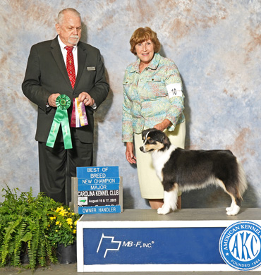 CC earned her AKC Championship in August on her birthday weekend by winning the breed for a four-point major.