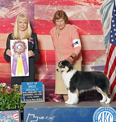 CC earned Best of Breed at Salisbury NC Kennel Club in July 2026