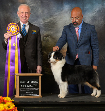 Dax won Best in Specialty Show at the 2023 MASCUSA Nationals
