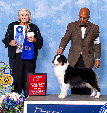 Dax won the herding group at the Citrus County Kennel Club