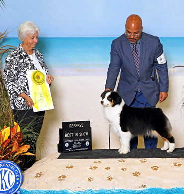 Dax won Reserve Best in Show at the Jupiter-Tequesta Dog Club