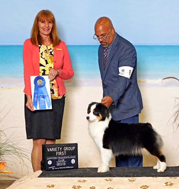 Dax earned Group One at the Jupiter-Tequesta Dog Club