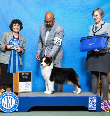 Dax wins Group 1 at the Progressive Dog Club of Wayne County