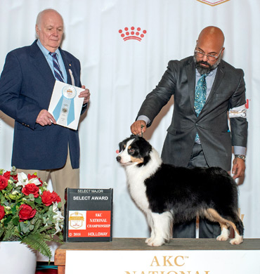 Ember wins Select Award at the AKC National Championship