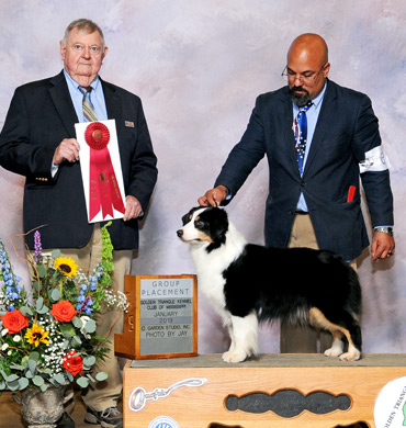 Ember wins Group Placing at Golden Triangle Kennel Club of Mississippi
