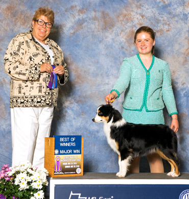 Karma earns Best of  Winners at Greenville Kennel Club