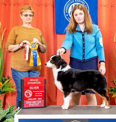 Karma earns Grand Champion Silver at The Greater Gainesville Dog Fanciers' Association
