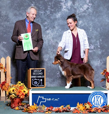 Levi became a new Champion at Lima Kennel Club