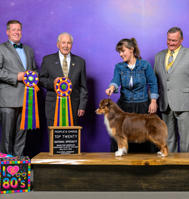 Leviosa earned earned the People's Choice Award at the 2026 MASCUSA National Specialty