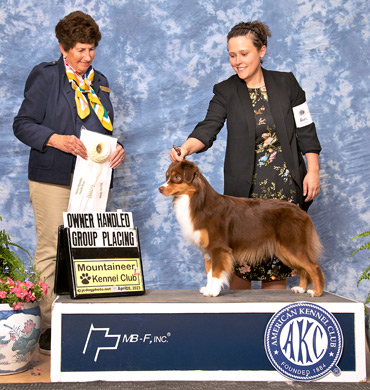 Levi became a Grand Champion at Mountaineer Kennel Club