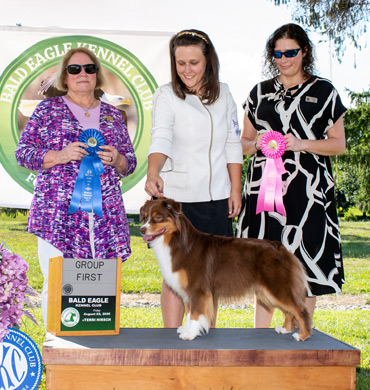 Leviosa won the herding group and the owner handler herding group at the Bald Eagle Kennel Club