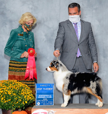 Mysti earns Group 2 at the Stephenville Kennel Club
