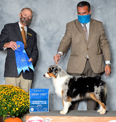 Mysti earns Group 1 at the Stephenville Kennel Club