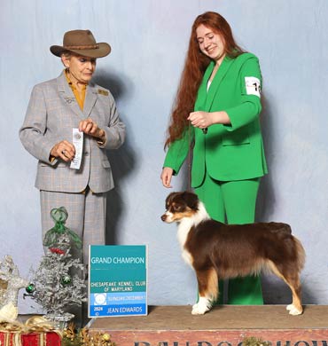 Xiya becomes a Grand Champion at the Chesapeake Kennel Club