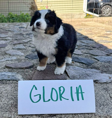 Gloria