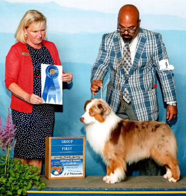 Blaze earns Group 1 at Asheville Kennel Club
