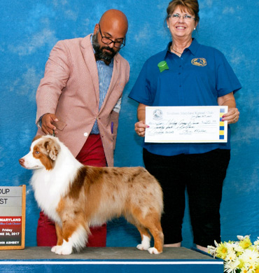 Blaze wins Group 1 at Southern Maryland Kennel Club