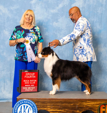 Boone earns a Group 4 under Ms. Edy Dykstra-Blum at Boca Raton Dog Club