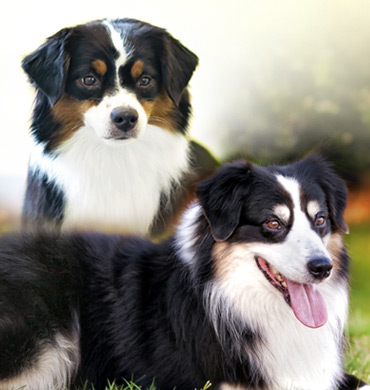 Tini and Remi