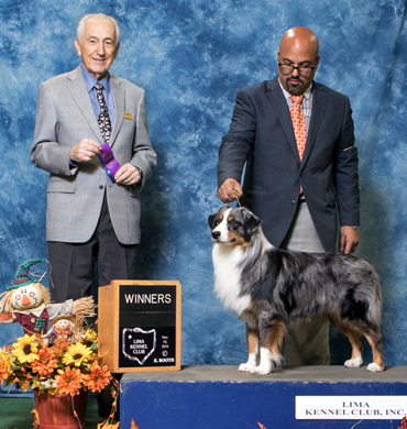 Deacon at Lima Kennel Club