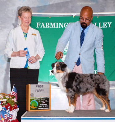 Deacon wins in Puppy Class