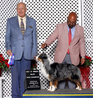 Deacon at Savannah Kennel Club