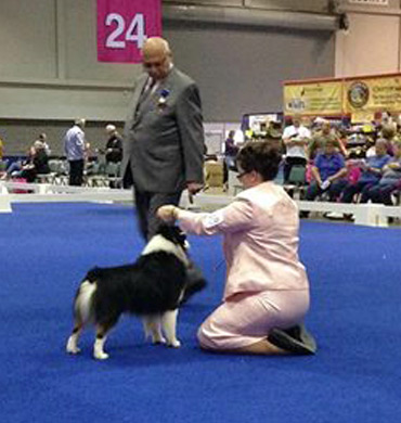 Desi Wins BOS at Eukanuba