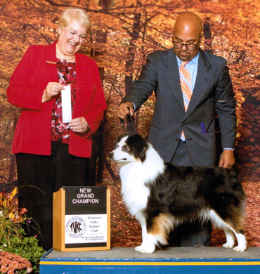 Desi earns Grand Champion