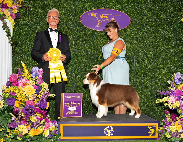 Epic was awarded a Group 3 at The Westminster Kennel Club