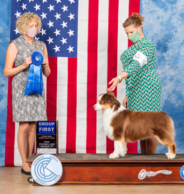 Epic wins Group First at Cypress Creek Kennel Club of Texas