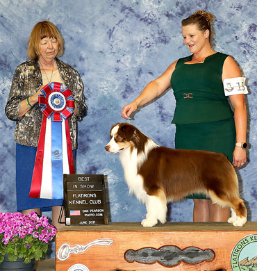 Epic wins his first Best in Show at Flatirons Kennel Club