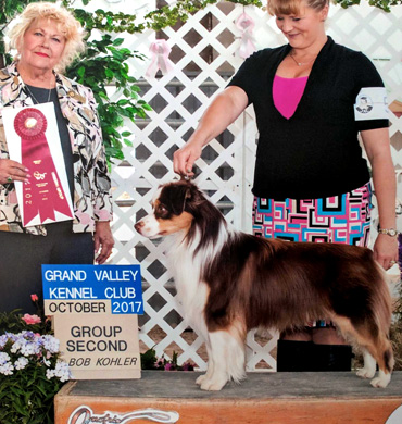 Epic earns Group 2 at Grand Valley Kennel Club