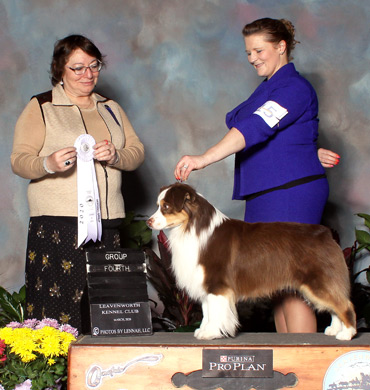 Epic earns Group 4 at St. Croix Kennel Club