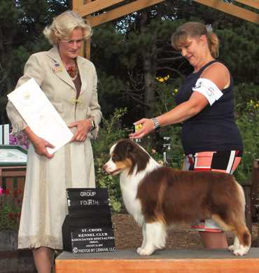 Epic earns Group 4 at St. Croix Kennel Club