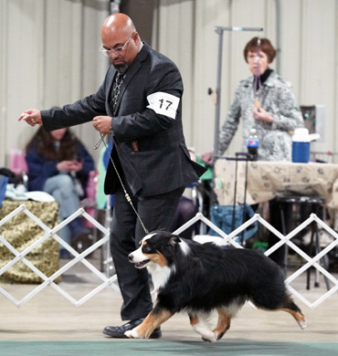 Fini's movement in the ring