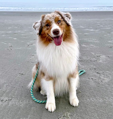 Halen at the beach