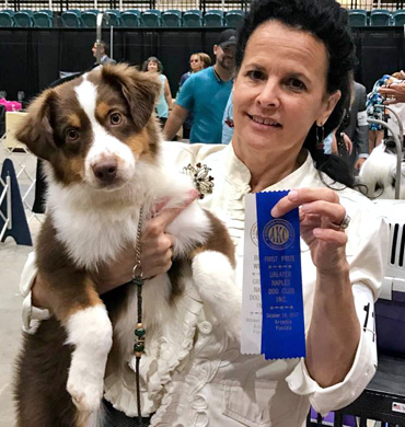 Kash wins First Prize at the Greater Naples Dog Club