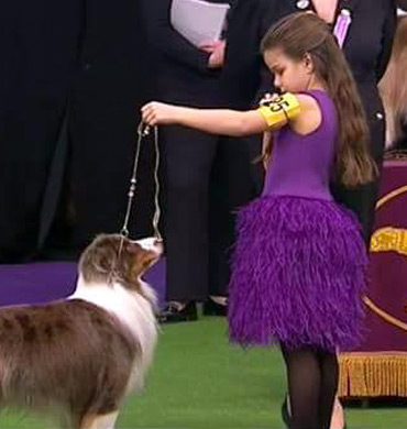 Pyro and Addison Lancaster at the Westminster Kennel Club