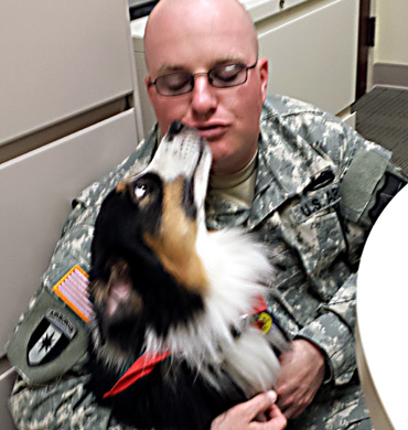 Ref awarded the AKC Therapy Dog Title