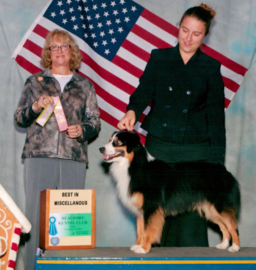 Ref at Beaufort Kennel Club