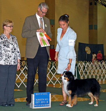 Ref Best in Show at Augusta Kennel Club